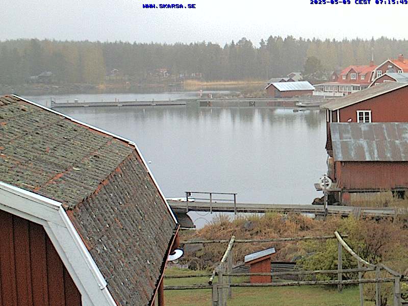 Camera Live Image