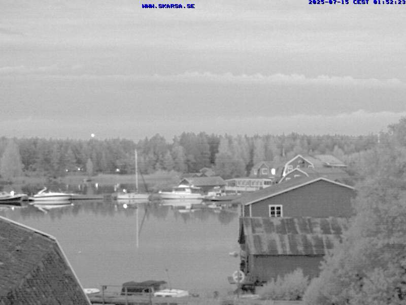Camera Live Image