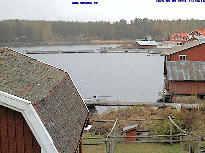 Camera Live Image