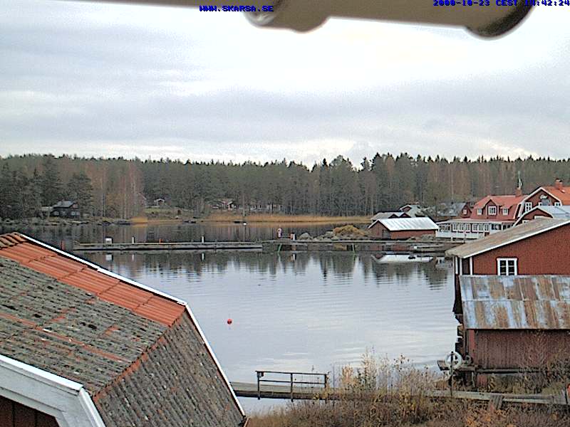 Camera Live Image