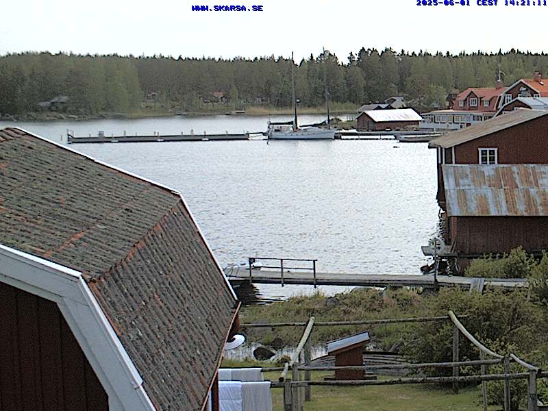 Camera Live Image