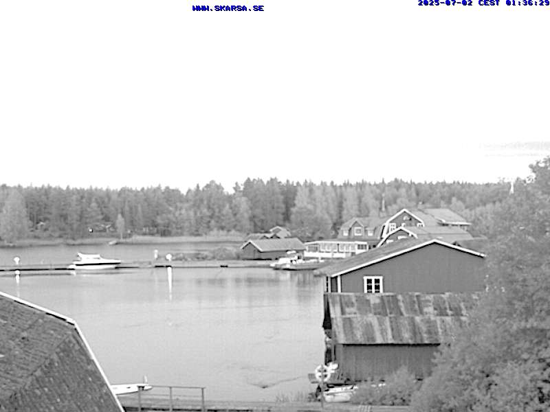 Camera Live Image