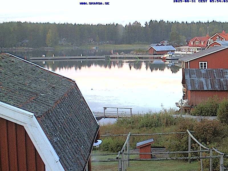 Camera Live Image