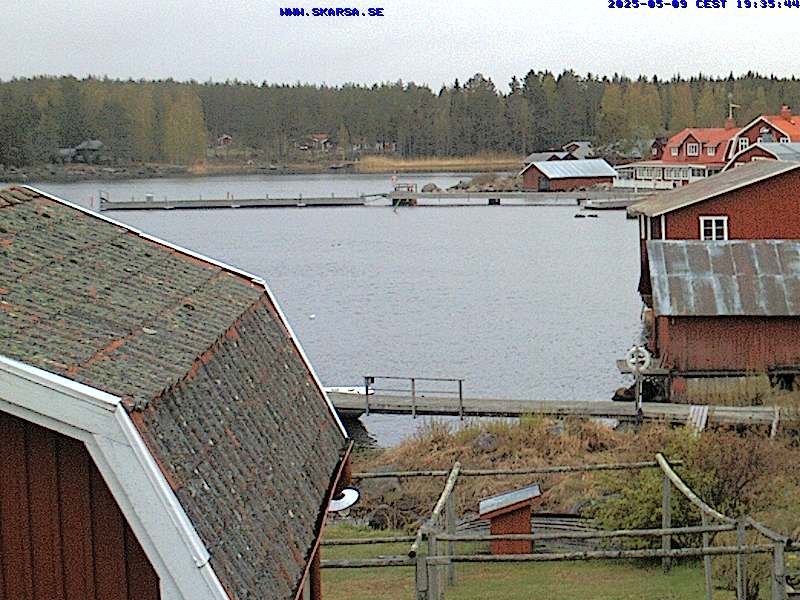 Camera Live Image