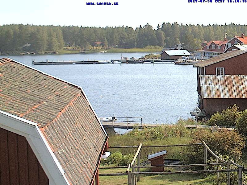 Camera Live Image