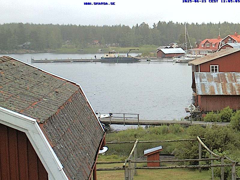 Camera Live Image